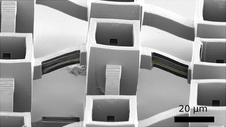 Rasterelektronenmikroskopie der dreidimensionalen Turmstruktur und mit mikroskopischen Verbindungkanälen für die Neuronen. Die Strukturen wurden durch 3D-Lithografie erzeugt und durch Beschichtung das Polymer so aktiviert, dass es biokompatibel ist Rasterelektronenmikroskopie der dreidimensionalen Turmstruktur und mit mikroskopischen Verbindungkanälen für die Neuronen. Die Strukturen wurden durch 3D-Lithografie erzeugt und durch Beschichtung das Polymer so aktiviert, dass es biokompatibel ist