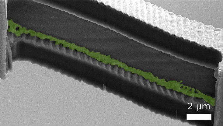 Vergrößerung eines mit Focussed Ion Beam (FIB) aufgeschnittenen Kanals mit grün eingefärbtem Neuron (Abbildung Rasterelektronenmikroskopie). Vergrößerung eines mit Focussed Ion Beam (FIB) aufgeschnittenen Kanals mit grün eingefärbtem Neuron (Abbildung Rasterelektronenmikroskopie).