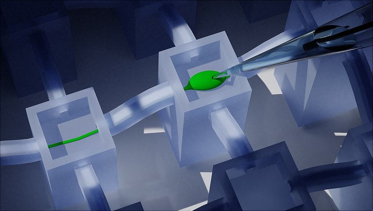 Schemabild einer neuronalen Zelle und Axon durch den Kanal zum Nachbarturm, die mit Patch-Clamp-Technik zur Messung der Aktivität des Neurons kontaktiert wird. Schemabild einer neuronalen Zelle und Axon durch den Kanal zum Nachbarturm, die mit Patch-Clamp-Technik zur Messung der Aktivität des Neurons kontaktiert wird.