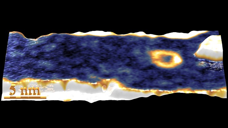 Rastertunnelmikroskopie-Messung der Probenoberfläche, ein magnetisches Skyrmion ist hier als goldener Ring zu erkennen