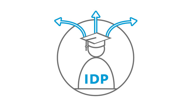 Icon Individual Development Plan
