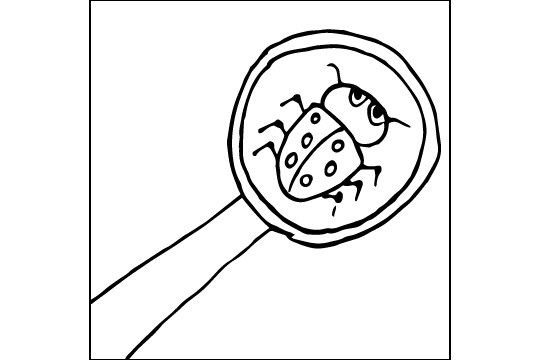 Mit einer Lupe kann man Dinge genauer betrachten.