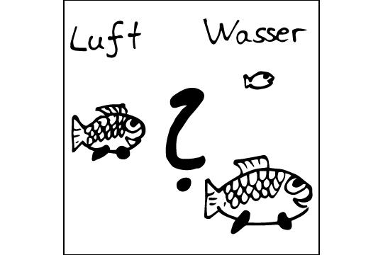 Funktioniert die Lupe an der Luft und unter Wasser gleich?