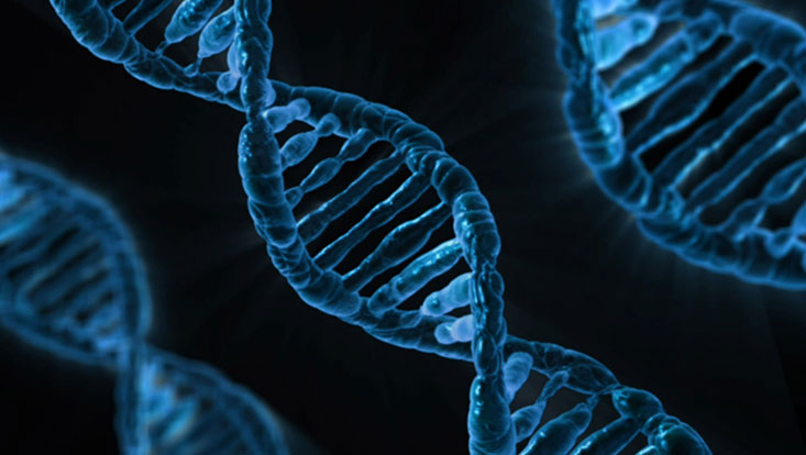 Dreidimensionale Abbildung von DNA-Strängen