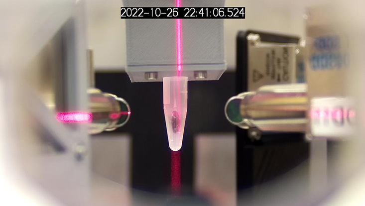 Versuchsaufbau für XFI-Messungen