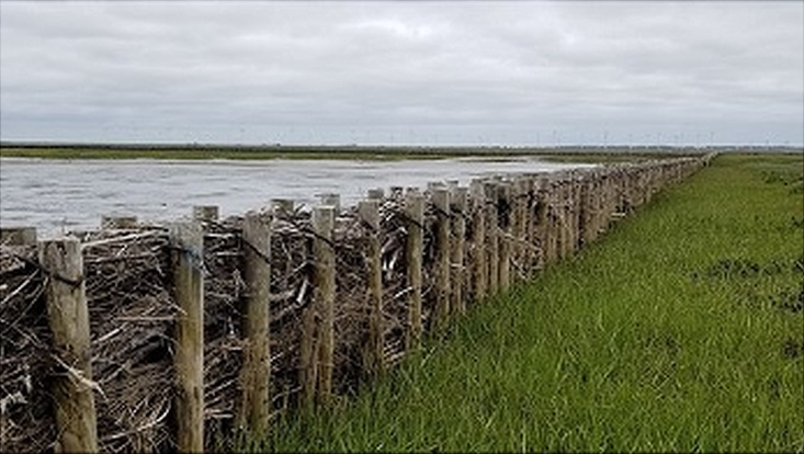 Symbolbild sea4soCiety