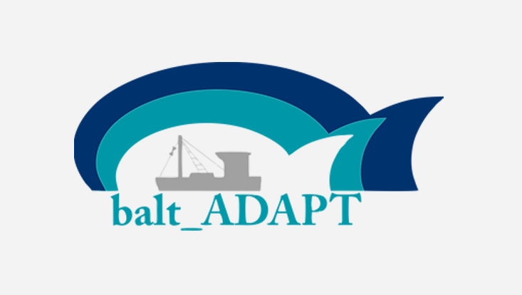 Symbolbild balt_ADAPT