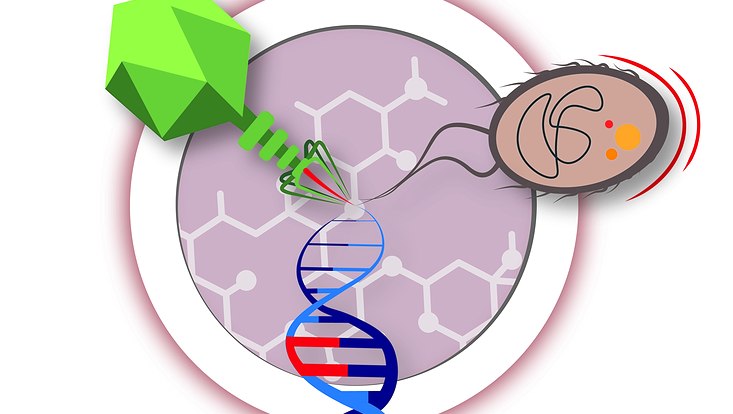 Logo Ringvorlesung 2024