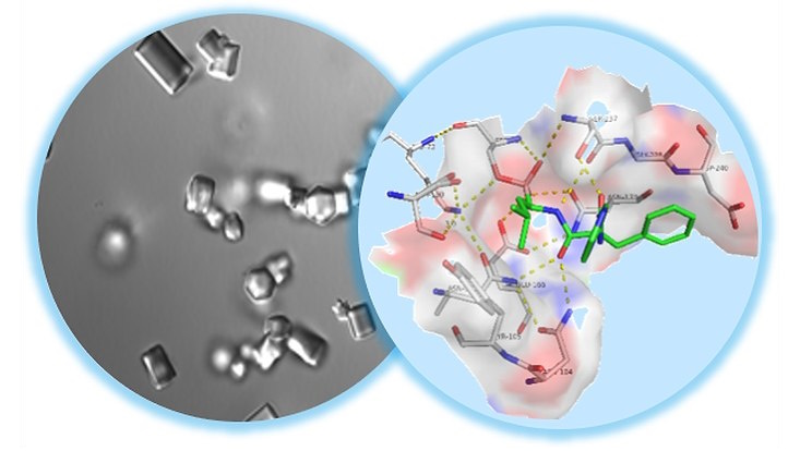 2 KI-generierte Bilder: links Aufnahme Röntgenkristallanalyse, rechts Protein schematisch dargestellt