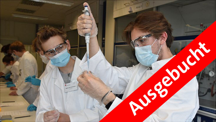 Einblick in die Lebensmittelchemie mit dem Chemie-Schullabor Molecules & Schools